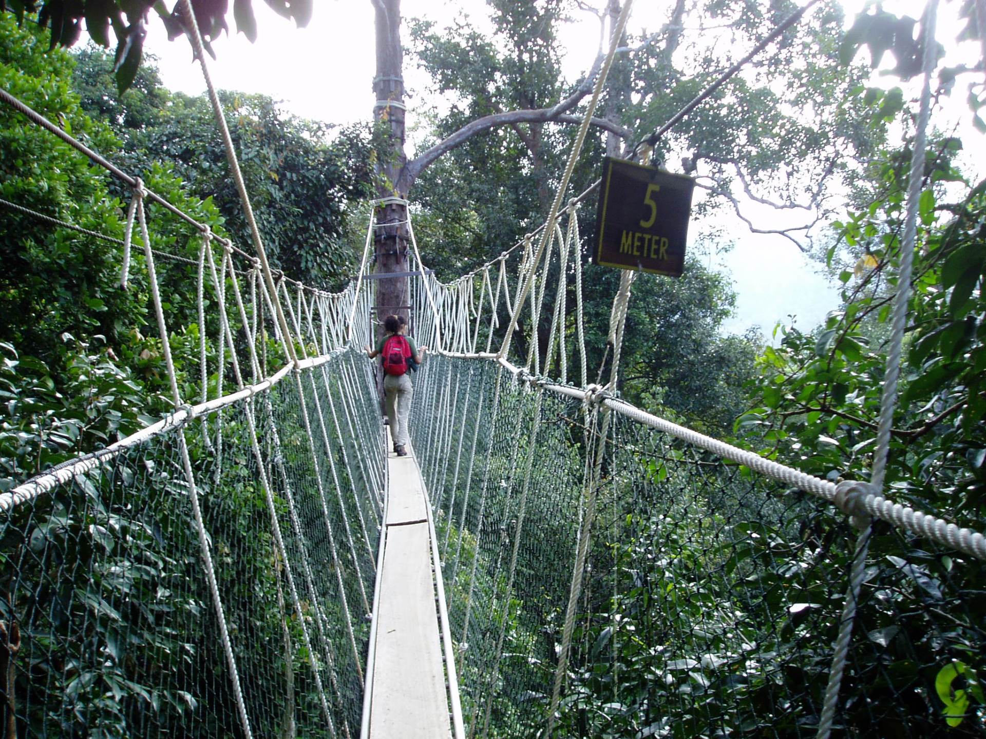 Top 10 passerelle e camminate tra gli alberi | aCasaMai.it